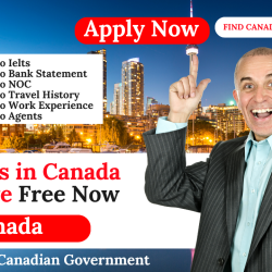 new brunswick immigration pilot program free canada PR program