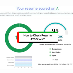 How to check resume ats score online