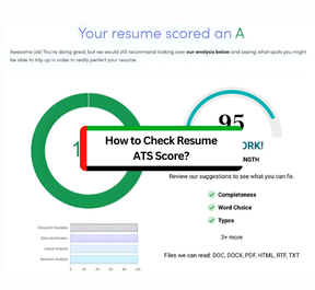 How to check resume ats score online