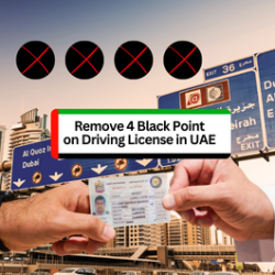 Accident-Free Day” Initiative and Clear 4 Black Points from Your License