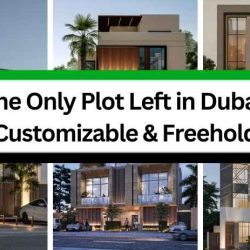 The Only Plot Left in Dubai: Customizable