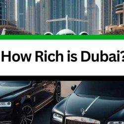 How rich is Dubai, Dubai Social Circle, Abunahyan.