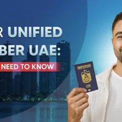 A Complete Guide To Understand Unified Number UAE